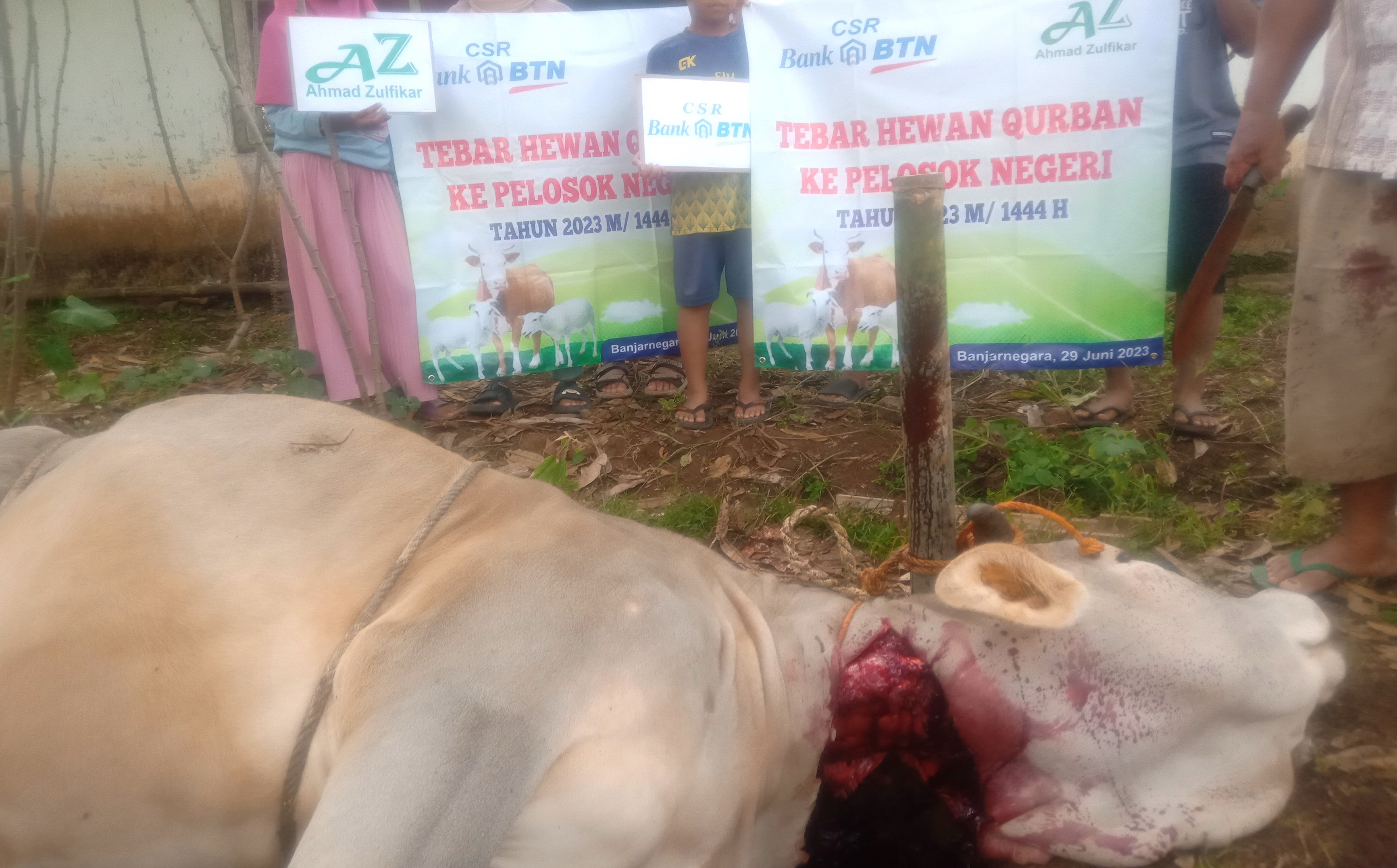 TEBAR HEWAN QURBAN KE PELOSOK NEGERI 2023 M - 1444 H (di Desa Lengkong, Rakit, Banjarnegara)