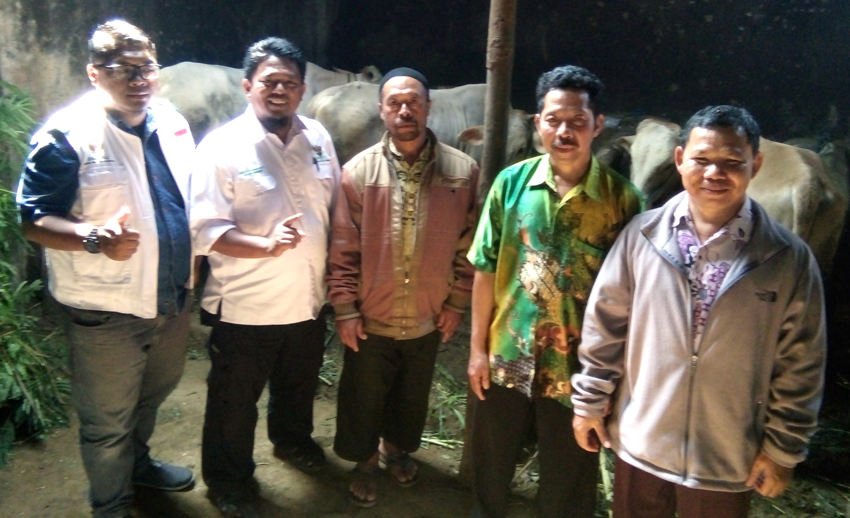 PEMBERDAYAAN EKONOMI PETERNAKAN SAPI