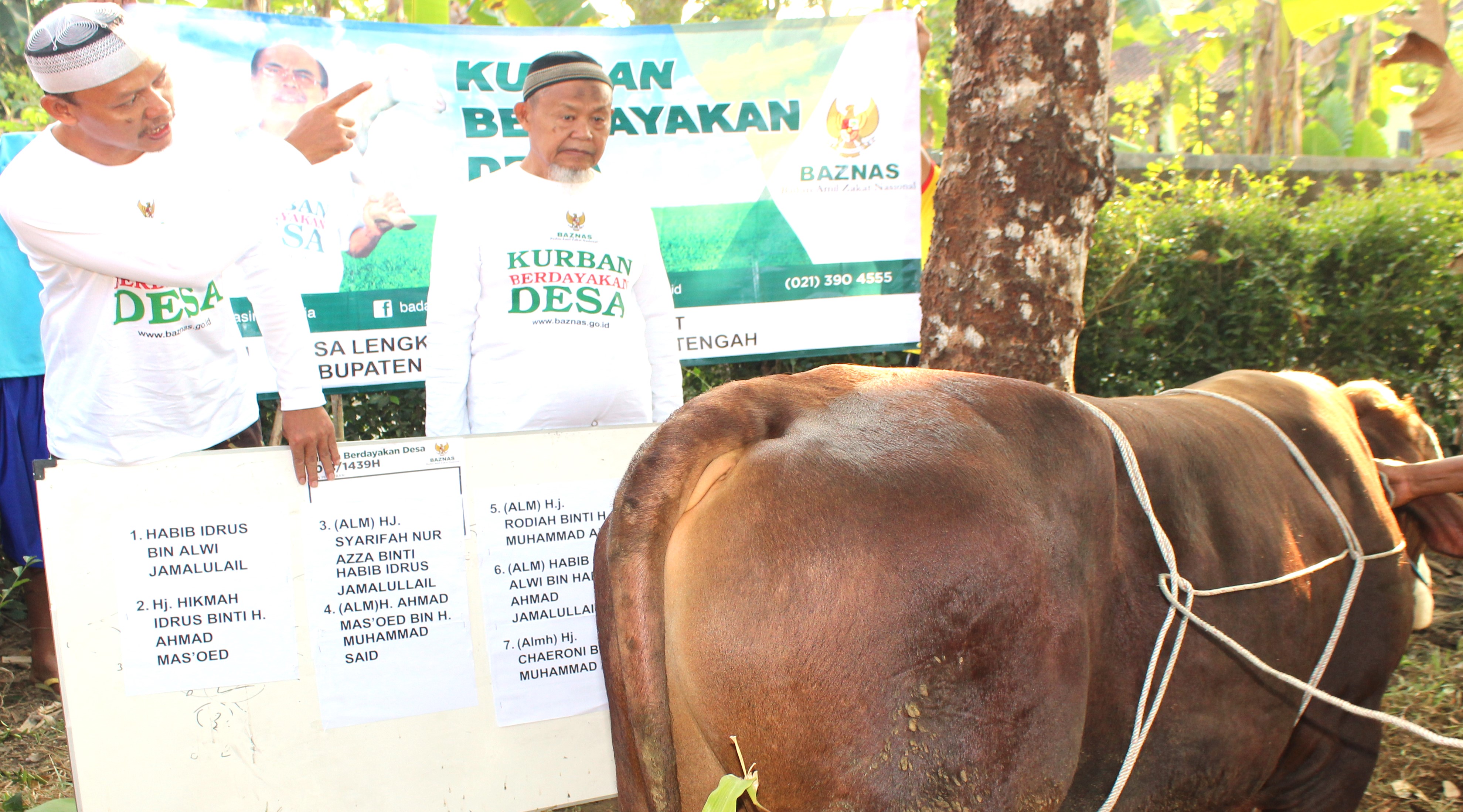 PENYALURAN HEWAN QURBAN IDHUL ADHA 2018 M - 1439 H DI DESA LENGKONG RAKIT BANJARNEGARA